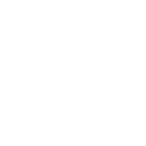 summitpage logo ibm 300